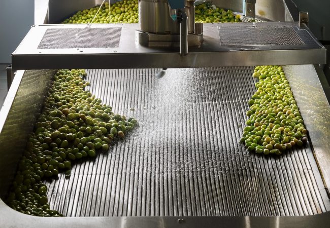 oliosavanelli_lavaggio