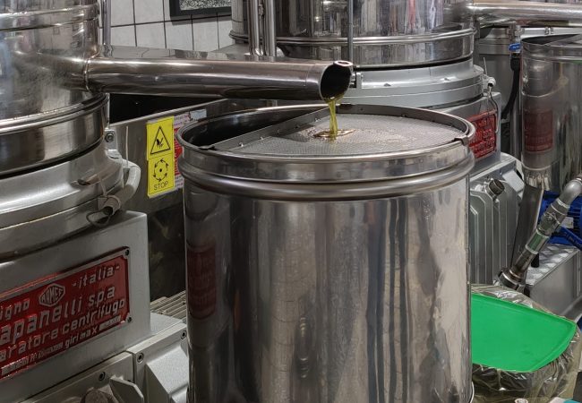 oliosavanelli_spremitura